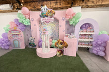 Cargar imagen en el visor de la galería, Backdrop Sky - Paw Patrol