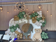 Cargar imagen en el visor de la galería, Backdrop Baby Teddy Green
