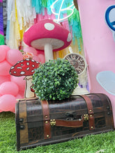 Cargar imagen en el visor de la galería, Alice's Wonderland Bakery
