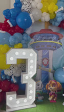 Cargar y reproducir el video en el visor de la galería, BackDrop Paw Patrol
