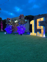 Cargar imagen en el visor de la galería, BackDrop XV años
